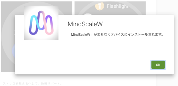 Mindscalewinstall005.png