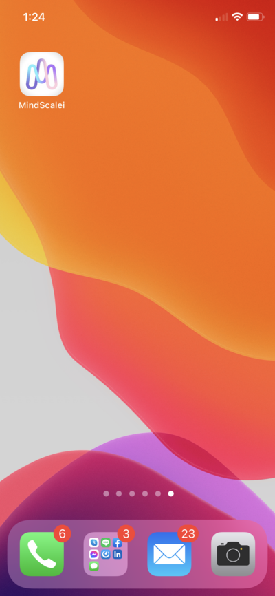 IMG 1167.png